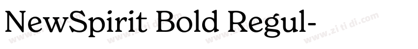 NewSpirit Bold Regul字体转换